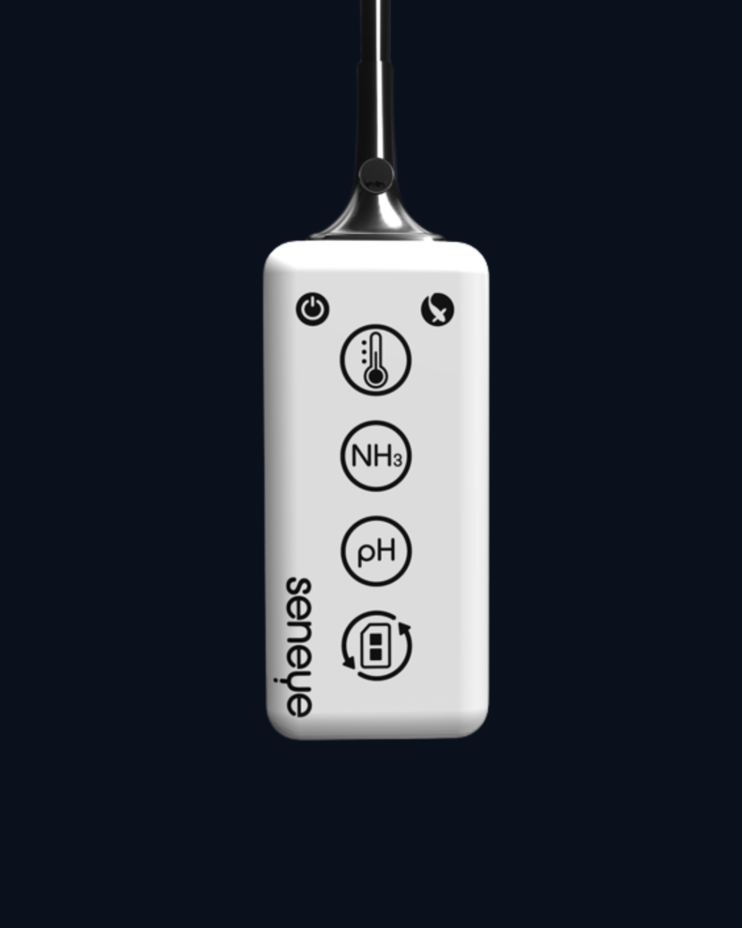 Seneye monitoring sensor — tracks temperature, ammonia, and pH continuously